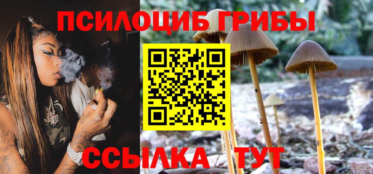 Псилоцибиновые грибы GOLDEN TEACHER  Вход с VPN  Гай 